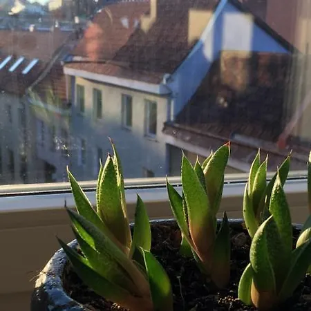 German18-3b Luxury *