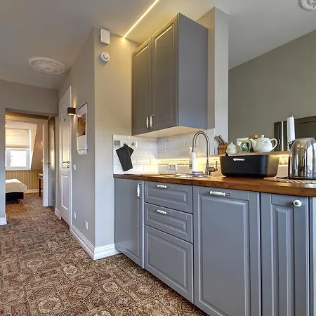 公寓 German18-3b Luxury 维尔纽斯