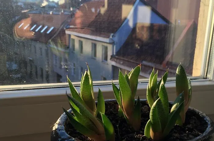 German18-3b Luxury *